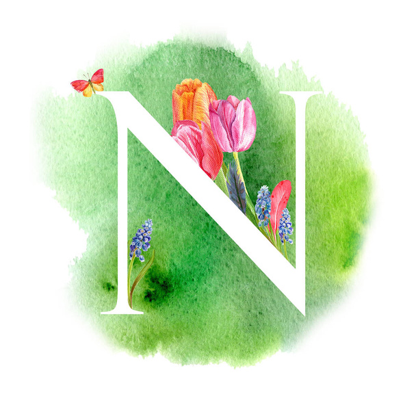 Písmeno N. Písmeno abecedy s jarní květy, tulipány Modřenec, pozvánky, karty, svatby a další. - Fotografie, Obrázek