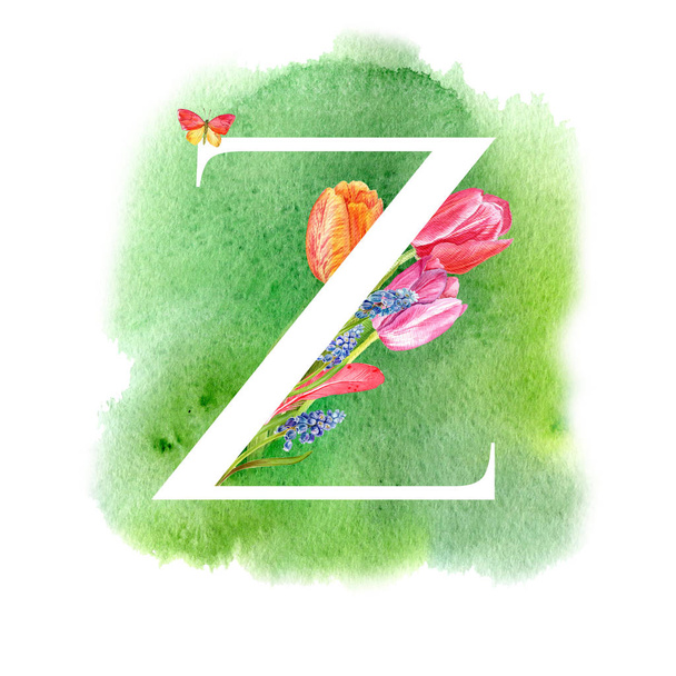 Lettera Z. Una lettera dell'alfabeto con fiori primaverili, tulipani muscari, per inviti, biglietti, matrimoni e altro ancora
. - Foto, immagini