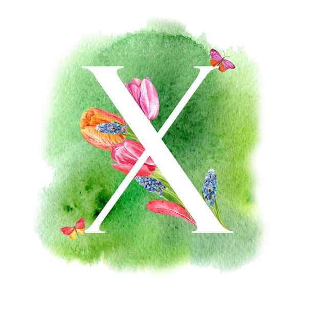 Lettera X. Una lettera dell'alfabeto con fiori primaverili, tulipani muscari, per inviti, biglietti, matrimoni e altro ancora
. - Foto, immagini