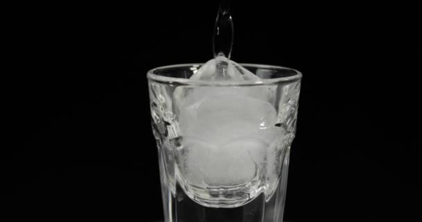 Giet wodka in shot glazen met ijsblokjes geplaatst op een zwarte achtergrond - Video