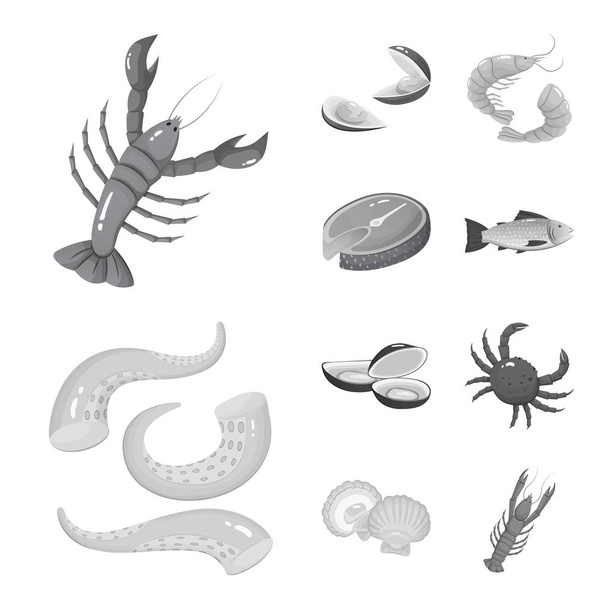 Vector illustration of seafood and healthy icon. Collection of seafood and ocean vector icon for stock. - Vektor, Bild