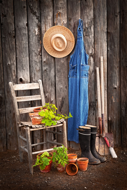 Инструменты садовника
 - Фото, изображение
