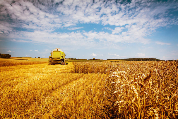 máquina agrícola para la cosecha de cultivos de grano en el campo de trigo
 - Foto, Imagen