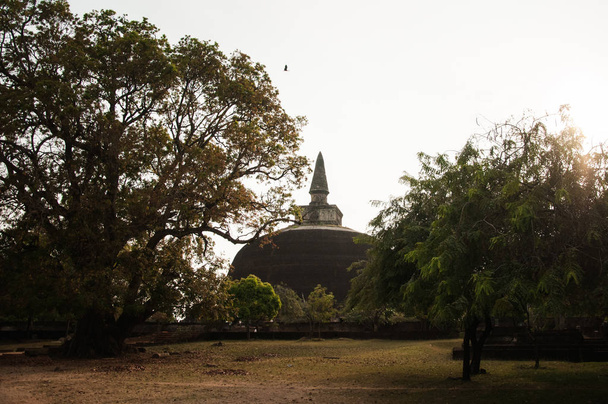 El Vatadage Polonnaruwa - antigua estructura budista. Unesco y
 - Foto, imagen