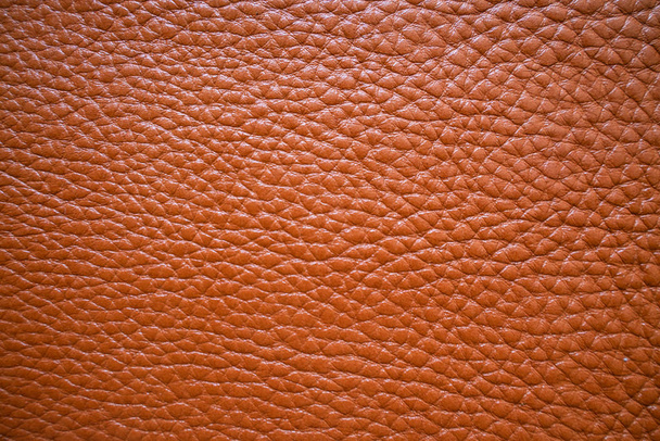 Full grain light brown tan leather texture - Photo, Image