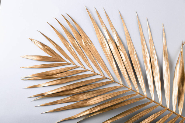 Golden palm leaf on light background - Zdjęcie, obraz