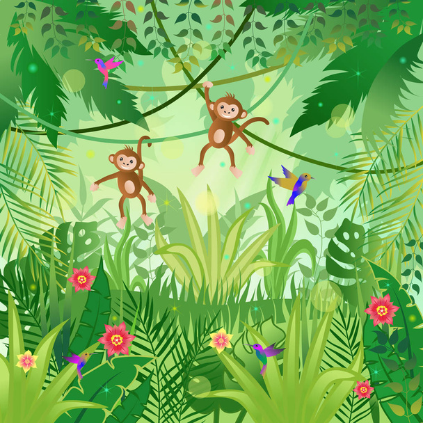 Jungle illusztráció. Dzsungel fák és növények. Majmok és kolibri - Vektor, kép