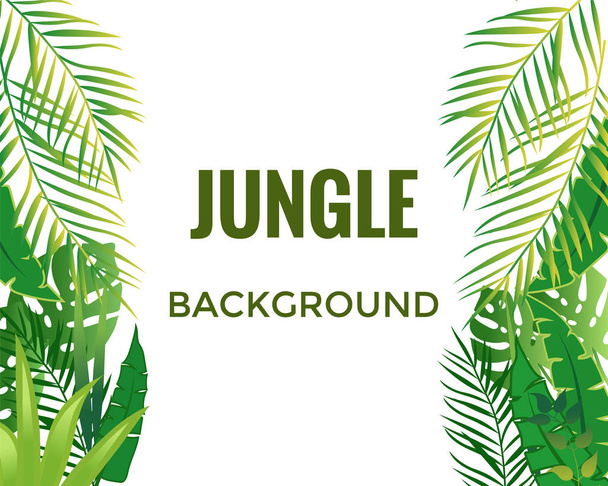 Jungle background. Jungle trees and plants.  - Vector, Image