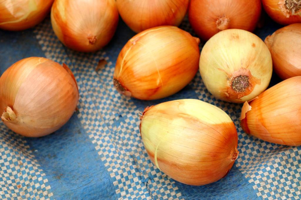 Zwiebeln auf dem Markt - Foto, Bild