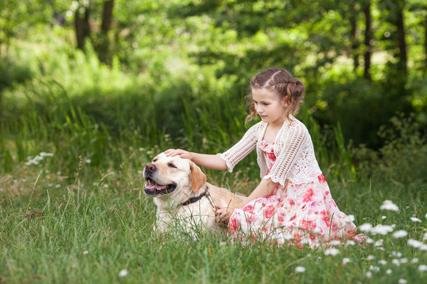 Cute smiling little girl hugging and  ironing labrador in the su - Foto, imagen