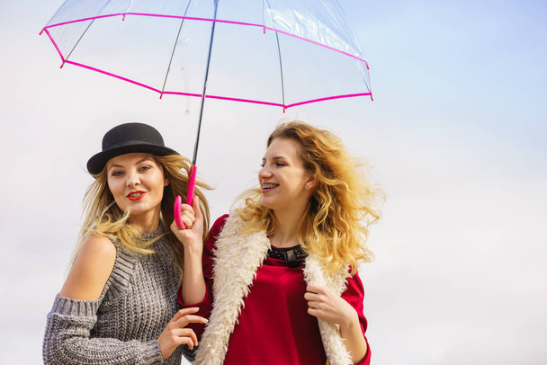 Two fashionable women and umbrella - Foto, imagen