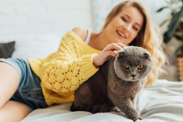 krásná dívka v pletených svetru pohladil skotskou kotvou kočku zatímco ležela doma v posteli - Fotografie, Obrázek
