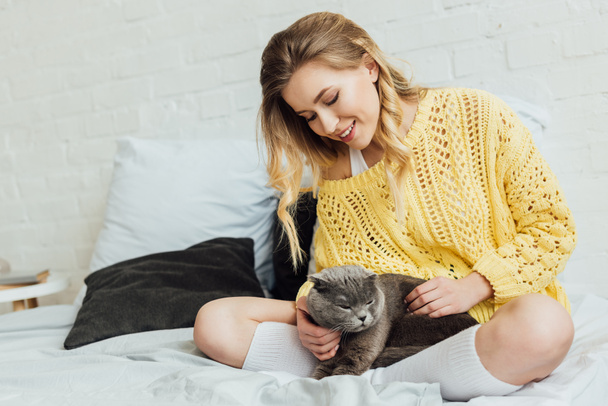 красивая улыбающаяся девушка в трикотажном свитере гладит шотландского складного кота, пока лежит в постели дома
 - Фото, изображение