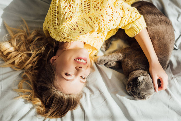 自宅でベッドに横たわっている間にスコットランドの折りたたみ猫をなでる美しい笑顔の女の子のオーバーヘッドビュー - 写真・画像