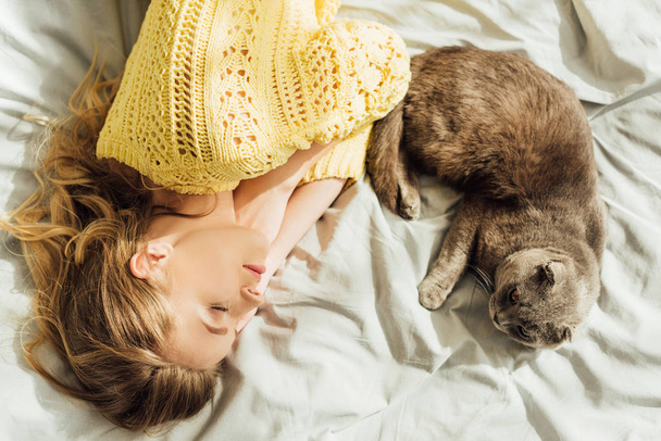 Κορυφαία θέα της όμορφης νεαρής γυναίκας που κοιμάται στο κρεβάτι με σκωτσέζικη διπλή γάτα - Φωτογραφία, εικόνα