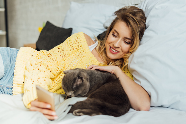 schöne junge Frau mit Smartphone, während sie mit schottischer Faltkatze im Bett liegt  - Foto, Bild