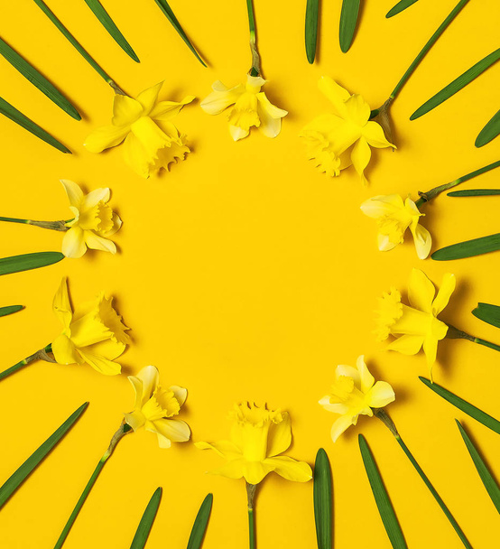 Kevään kukka tausta. Runko Narcissus tai daffodil kukkia keltaisella taustalla top näkymä tasainen lay. Pääsiäiskonsepti, kansainvälinen naistenpäivä, 8. maaliskuuta, loma. Kortti kukkia. Tekstipaikka
 - Valokuva, kuva