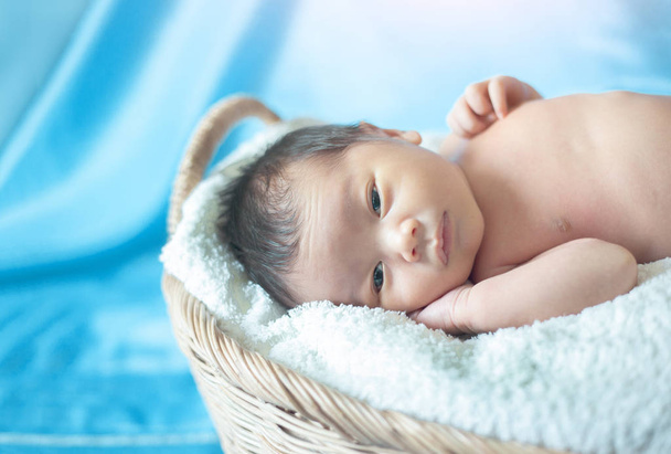 amour à première vue nouveau-né panier bébé
 - Photo, image