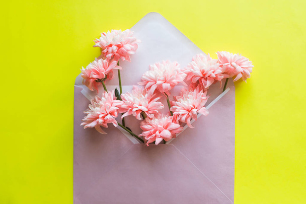 Pink chrysanthemums flowers, envelope on yellow background. Birthday, Valentines Day, Mothers Day, Womens Day, celebration concept. Top view, flat lay. - Photo, Image