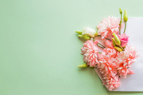 ピンクの花菊、柔らかい緑の背景の上に花の開いた封筒。平面図です。愛の概念。幸せなバレンタインデー。女性の日。3 月の 8。母の日。コピー スペース - 写真・画像