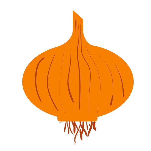 onion flat illustration on white - Διάνυσμα, εικόνα