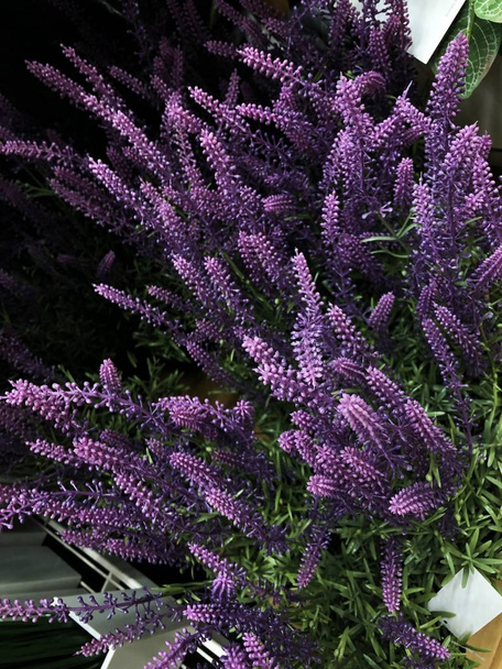 Beautiful purple flowers on the market view  - Foto, Imagen