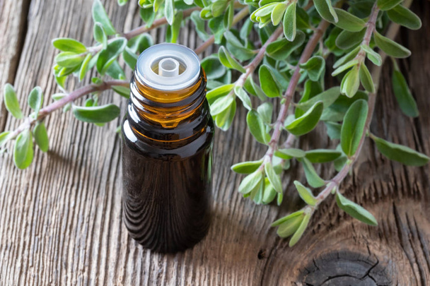 A bottle of marjoram essential oil with fresh marjoram - Photo, Image