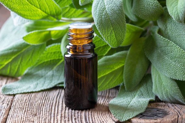 A bottle of sage essential oil with fresh sage twigs - Photo, Image