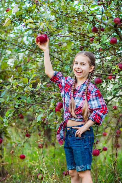 Portrait of a cute girl in a farm garden with a red apple. - Фото, изображение