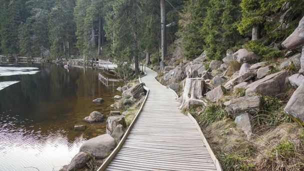 wooden planks round way around lake - Foto, immagini