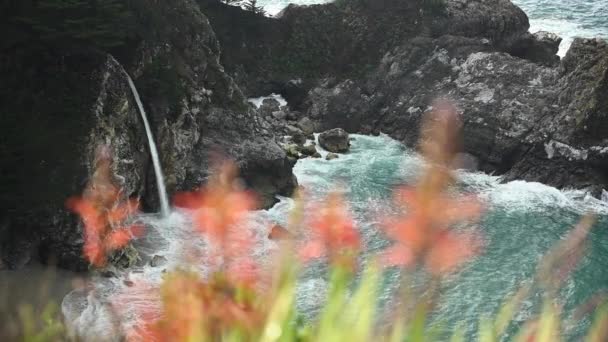 Mcway Falls ve dışarı-in odak büyük Sur kıyı boyunca portakal çiçekleri - Video, Çekim