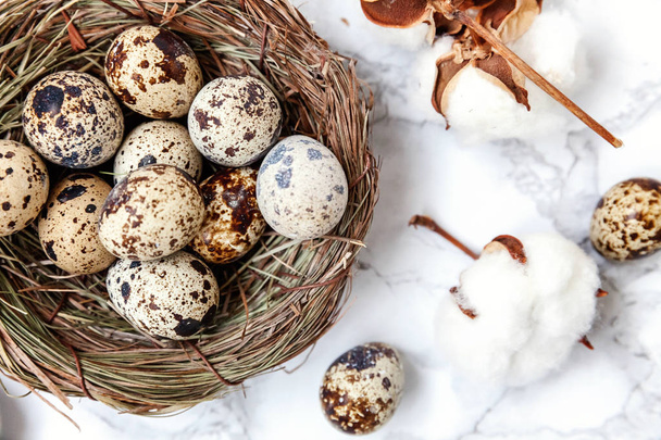 Easter decoration with egg in nest and cotton on white marble background - Valokuva, kuva