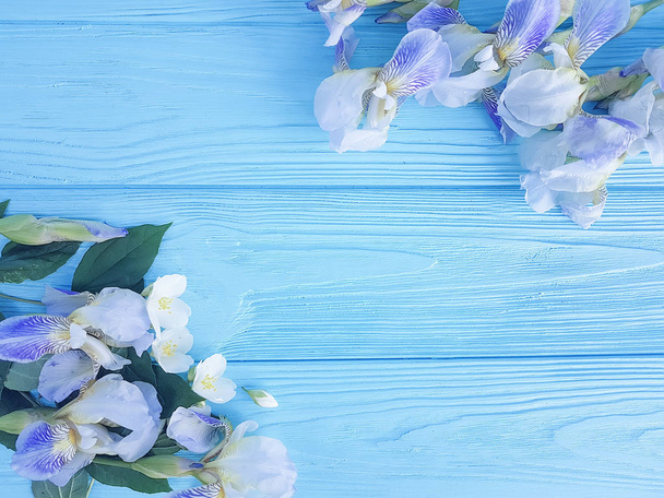 iris fiore su sfondo blu di legno
 - Foto, immagini