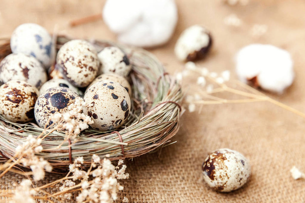 Пасхальное украшение с яйцом в гнезде и хлопок на белом мраморном фоне
 - Фото, изображение