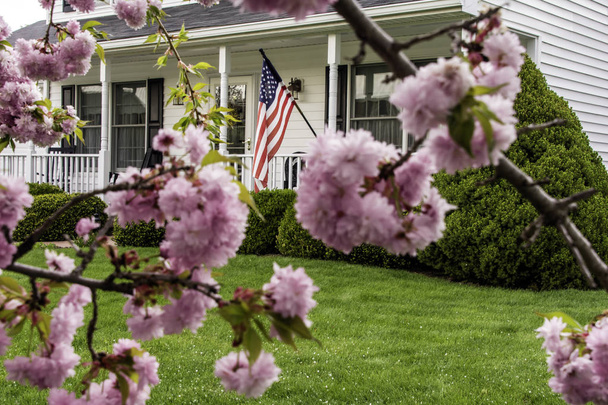 Rosafarbene Kirschblüten umrahmen ein weißes zweistöckiges Kolonialhaus mit schwarzen Fensterläden amerikanische Flagge weht von der Veranda mit gepflegten grünen Rasen vor dem Haus - Foto, Bild