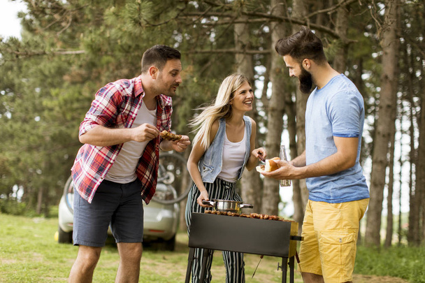 Grupa młodych ludzi korzystających grill party w naturze - Zdjęcie, obraz