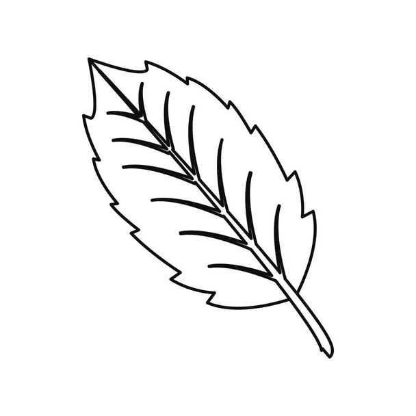 tree leaf decoration - Vetor, Imagem