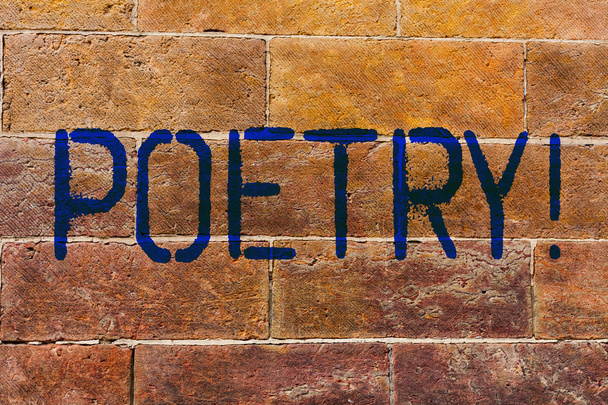 Conceptual hand writing showing Poetry. Business photo showcasing Literary work Expression of feelings ideas with rhythm Poems writing Brick Wall art like Graffiti motivational written on wall. - Photo, Image