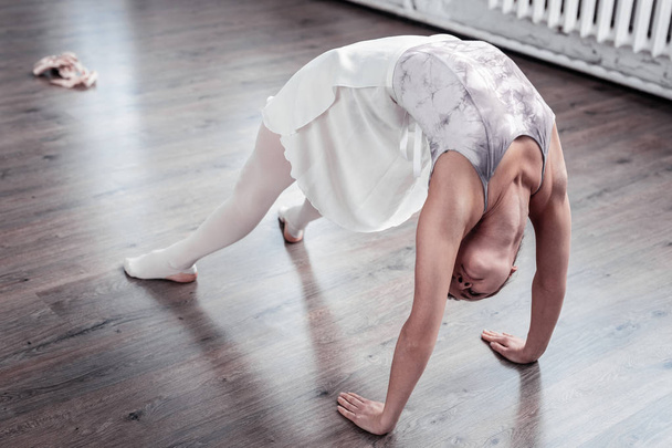 Nice attractive young woman developing her flexibility - 写真・画像