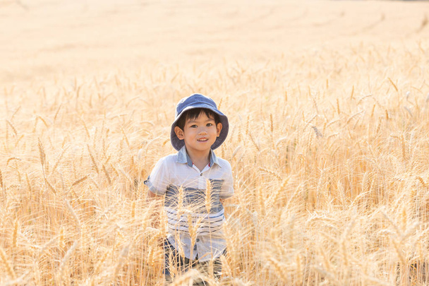 Asian Boy having fun and playing in a wheat field on summer. - Foto, imagen