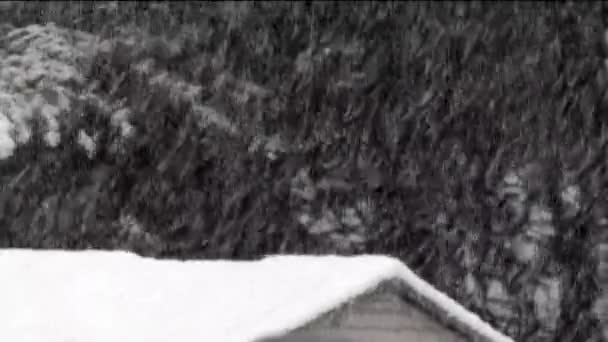 zalesione tło z śniegiem padającym na drzewa i linię dachów - Materiał filmowy, wideo