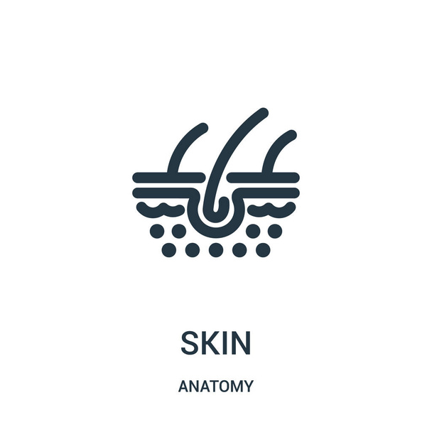 解剖学のコレクションから皮膚のアイコン ベクトルです。細い線皮膚概要アイコン ベクトル イラスト。Web およびモバイル アプリ、ロゴ、印刷媒体に使用する線形記号. - ベクター画像