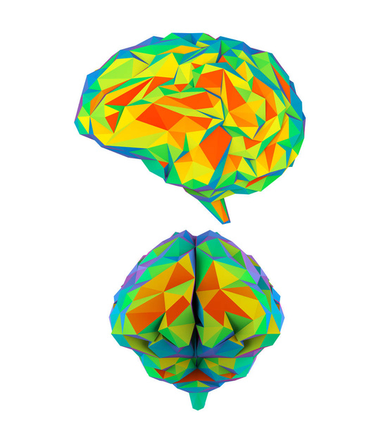 Cerebro poligonal colorido
 - Foto, imagen