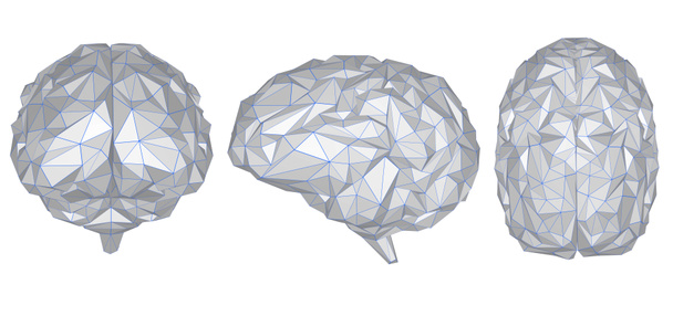 灰色の多角形脳 - 写真・画像