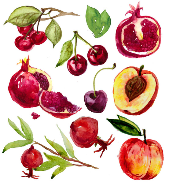 hand drawn watercolor set with fruits. pear, peach slices, longan, longan in section, corn cob, corn grain, cherry, pomegranate - Foto, immagini