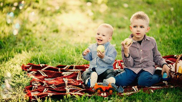 Два брати сидять і їдять яблуко в парку
. - Фото, зображення