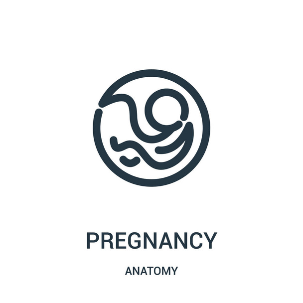 вектор иконок беременности из коллекции анатомии. Тонкая линия беременности наброска иконки векторной иллюстрации. Линейный символ для использования в веб и мобильных приложениях, логотипе, печатных СМИ
. - Вектор,изображение