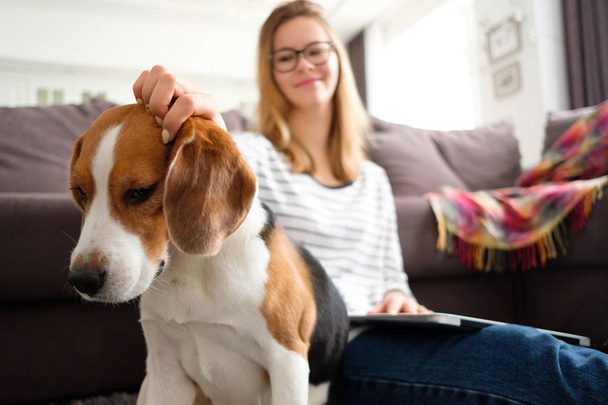 Girl spends time at home with a dog - Foto, imagen