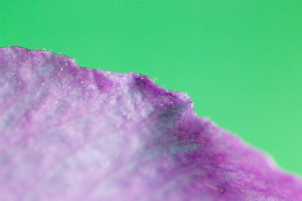 purple flower. super macro - Foto, Bild