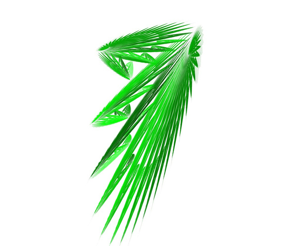 Folhas de palmeira - Foto, Imagem